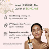 Jasmine Absolute Oil