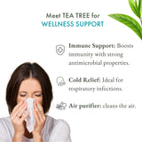 Tea Tree Essential Oil (10 ml)