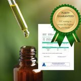 Rose Absolute Essential Oil (10 ml)