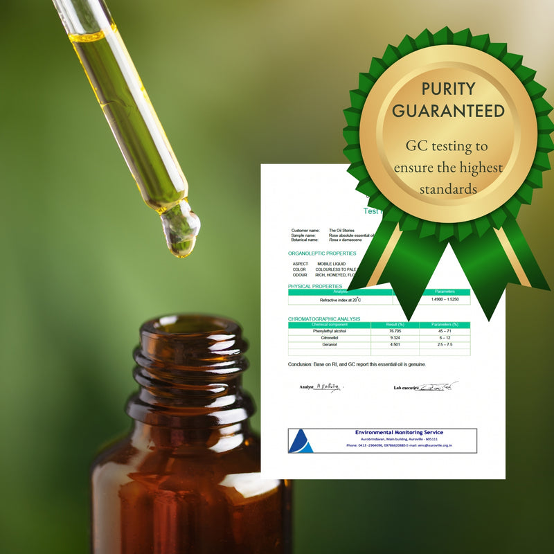 Rose Absolute Essential Oil (10 ml)