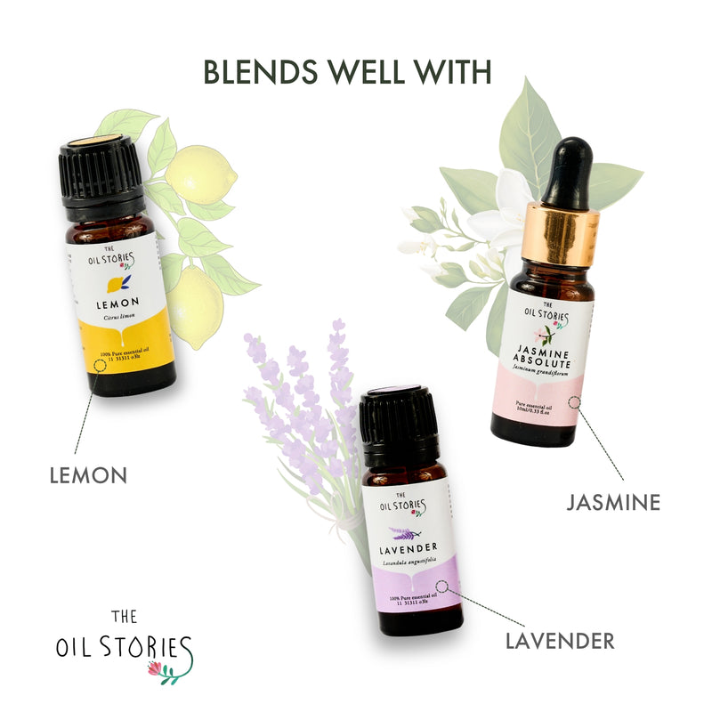 Frankincense Essential Oil