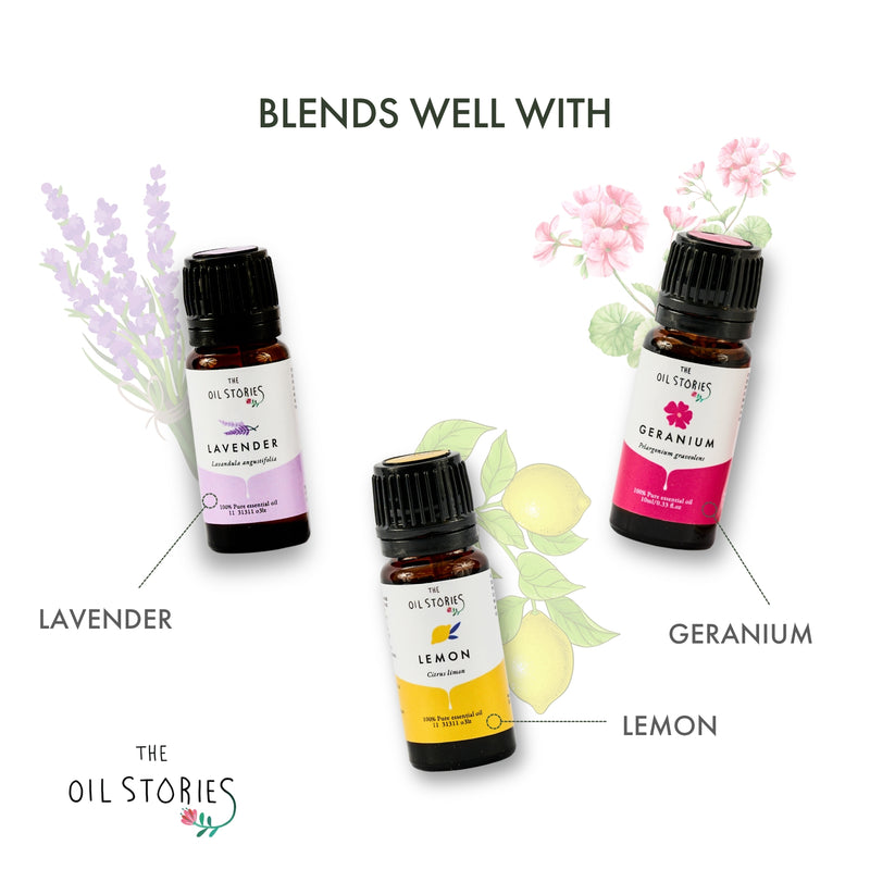 Tea Tree Essential Oil (10 ml)