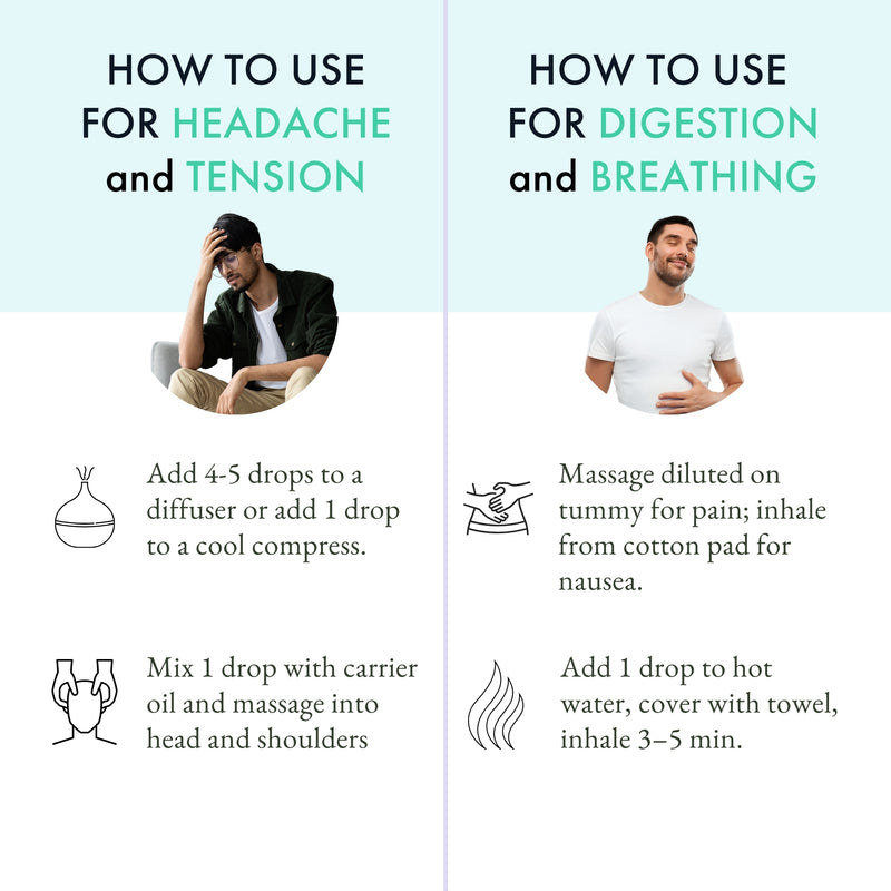 Basil Essential Oil